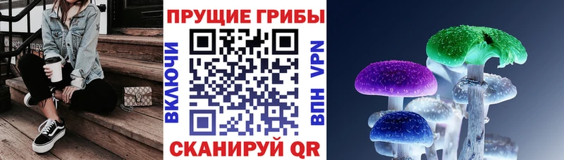 Псилоцибиновые грибы Psilocybe  даркнет какой сайт  Усть-Лабинск 