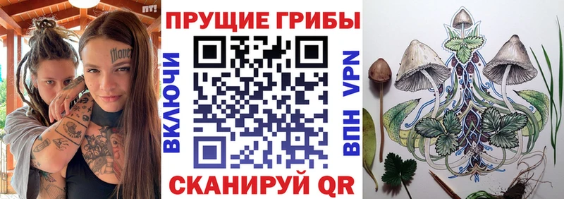 Галлюциногенные грибы прущие грибы Усть-Лабинск